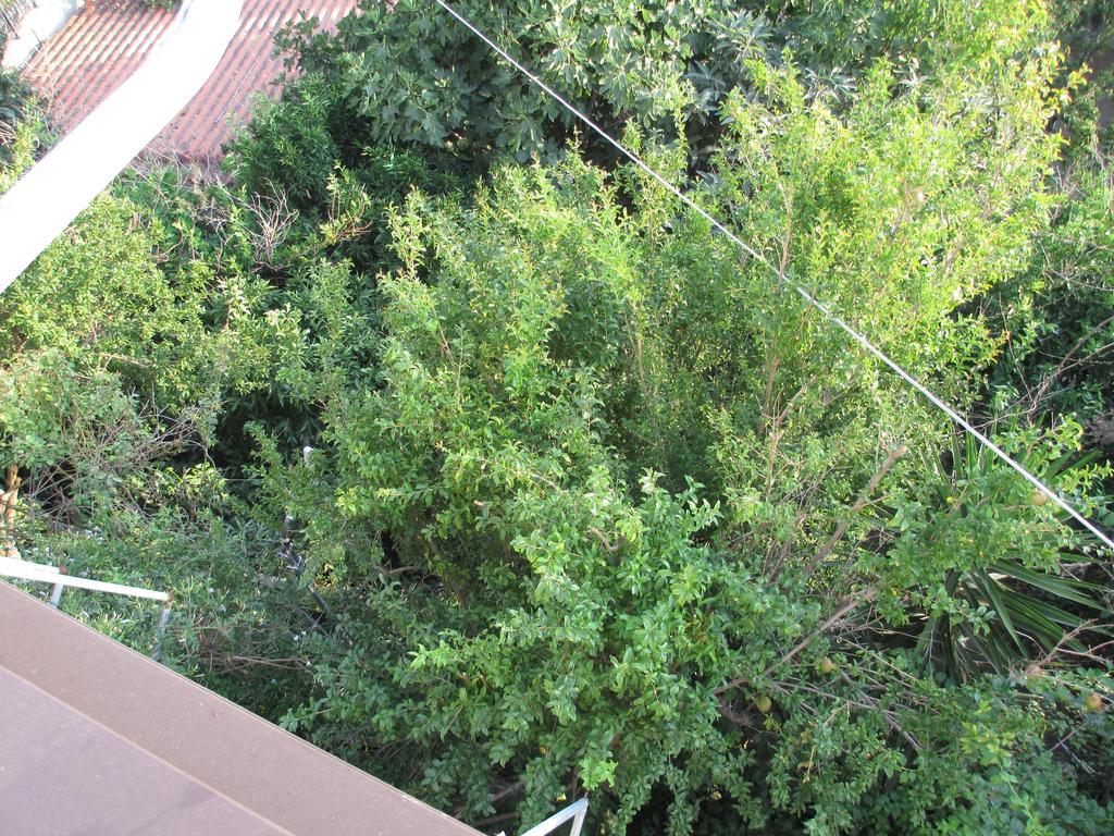 Hotel Nick House Plomari Exterior foto